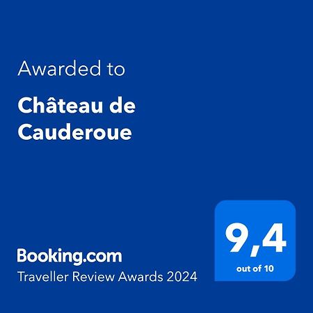 Chateau De Cauderoue Bed & Breakfast Nérac Екстериор снимка