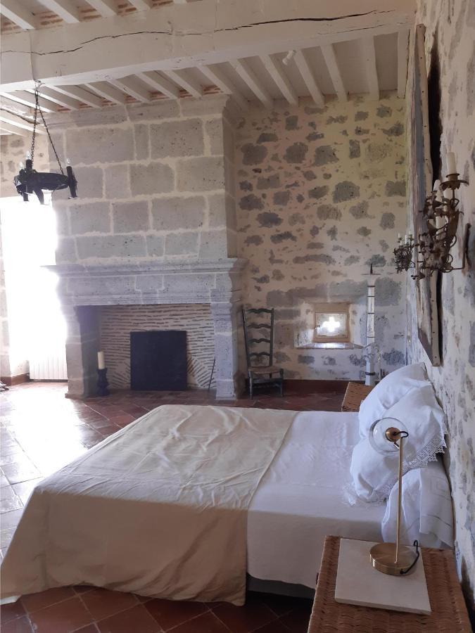 Chateau De Cauderoue Nérac Екстериор снимка