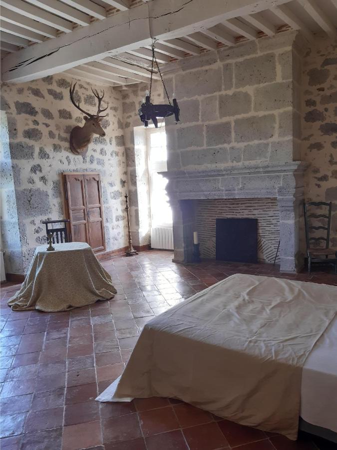 Chateau De Cauderoue Nérac Екстериор снимка